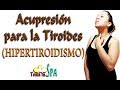 ACUPRESIÓN PARA LA TIROIDES (HIPERTIROIDISMO)