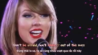 Taylor Swift - Love Story (Vietsub)