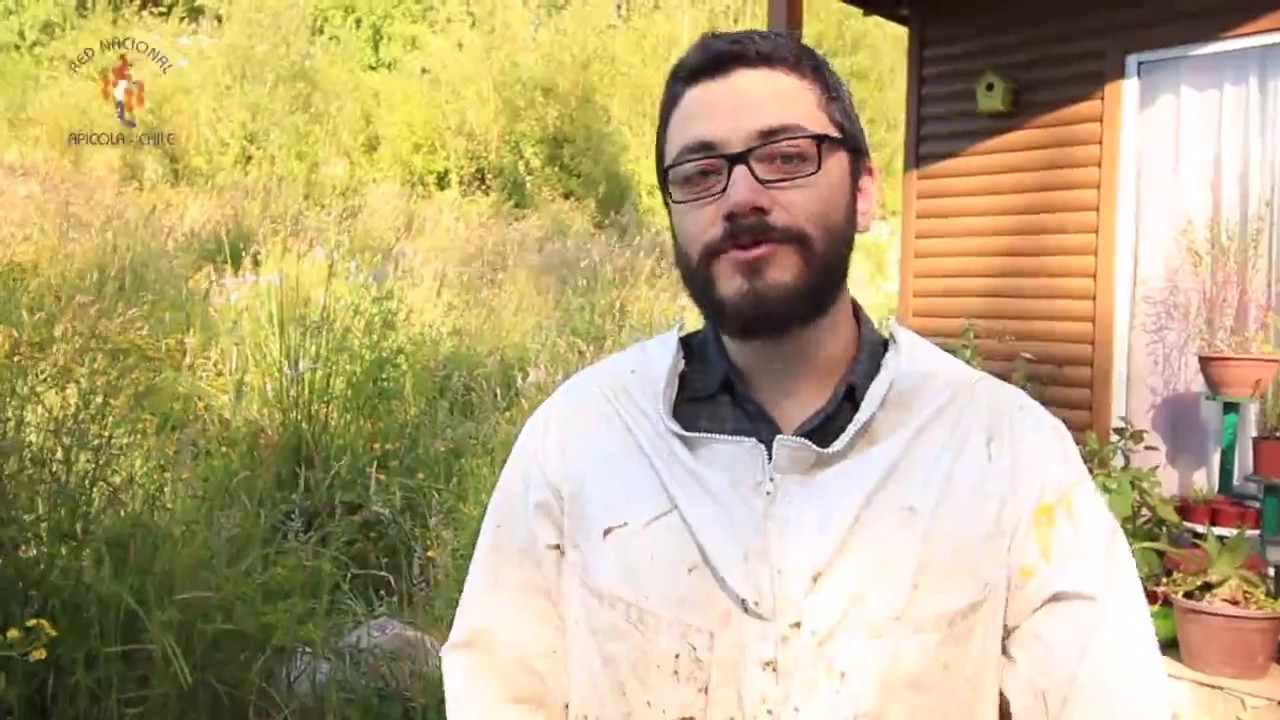 Fabricación de Tiras de Cartón Piedra con Ácido Oxálico y Glicerina