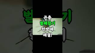 벌레잡기 무서운 사람 다 봐라… 이거 진짜 신세계임 #벌레퇴치 #여름필수품 #자취생꿀템