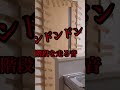 【閲覧注意】幽霊が入ってくる扉をガムテープでガチガチに固定したらキレてきた