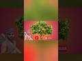 #Aisa #Des #Hai #Mera #viralvideo #nature #song