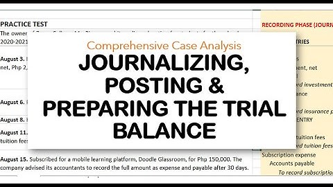 Journalizing, Posting and Preparation of the Trial Balance | Comprehensive Case Analysis