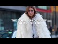 Fur and Stupid People - PROMO - The Downs and Ups of The Arctic Fox
