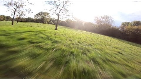 FPV Freestyle | Betaflight 4.1