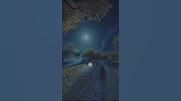 📖سورة غافر 🎙️علي جابر