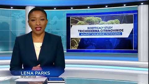 Bioefficacy of Trichoderma citrinoviride against some plant pathogenic fungi