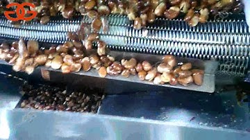 Fava Bean Broad Bean Vicia Faba Frying Production Line