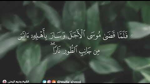 تلاوة مريحة للأعصاب 💙|| القارئ وديع اليمني 🌸