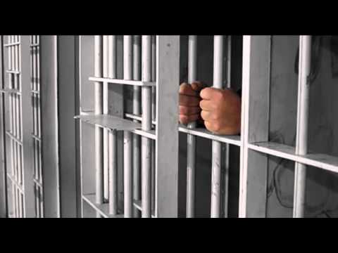 მსჯავრდებულთა დასაქმების პროგრამა Sputnik სპუტნიკი-საქართველ