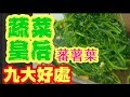 蕃薯葉 蔬菜皇后九大好處 鐵質高 炒得翠綠 有秘笈                    Sweet potato leaves 番薯葉 地瓜葉