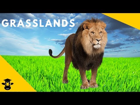 Temperate Grasslands-Biomes of the World