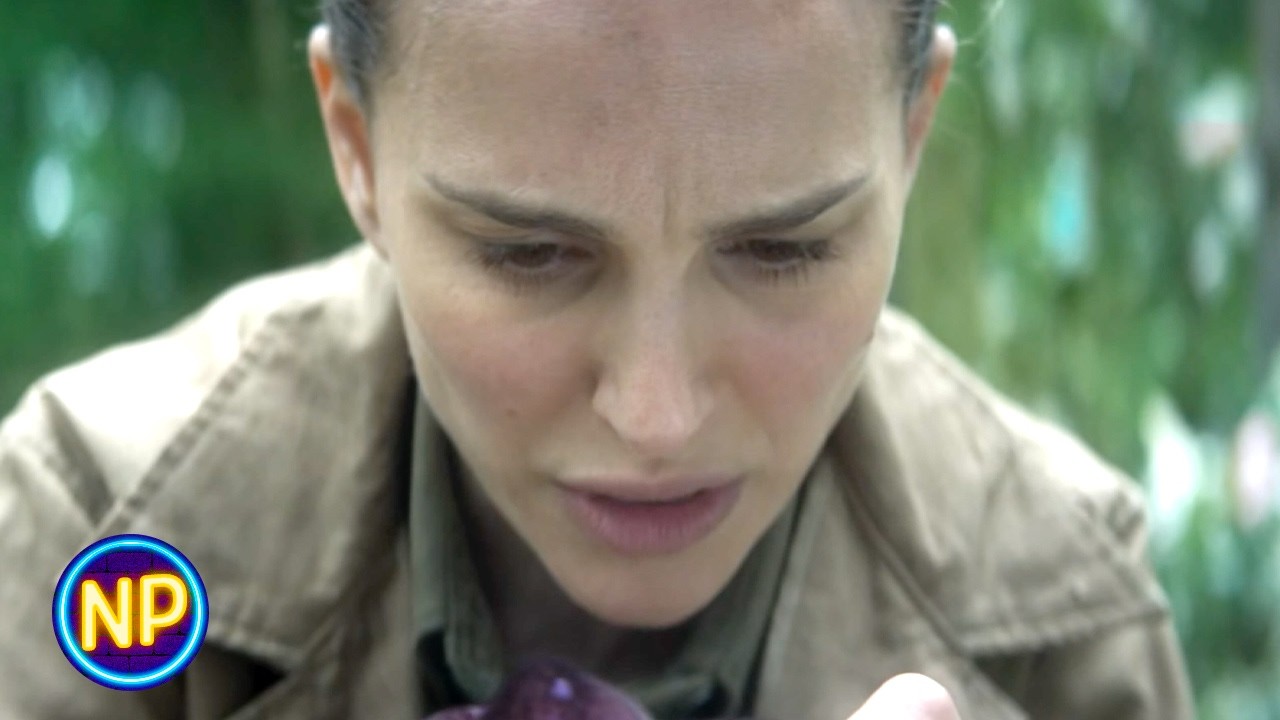 ⁣Entering the Shimmer and Attacked by a Crazy Gator | Annihilation