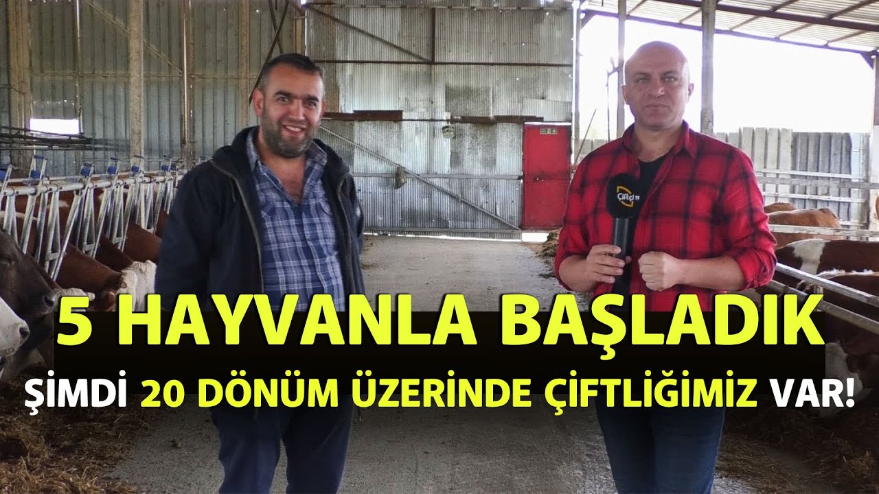5 Hayvanla Başladık, Şimdi 20 Dönüm Üzerinde Çiftliğimiz Var! - Harman Yeri