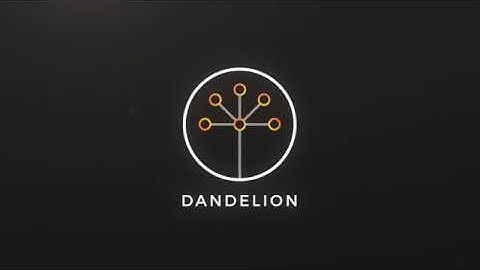 DTR - Privacy & Security - Dandelion