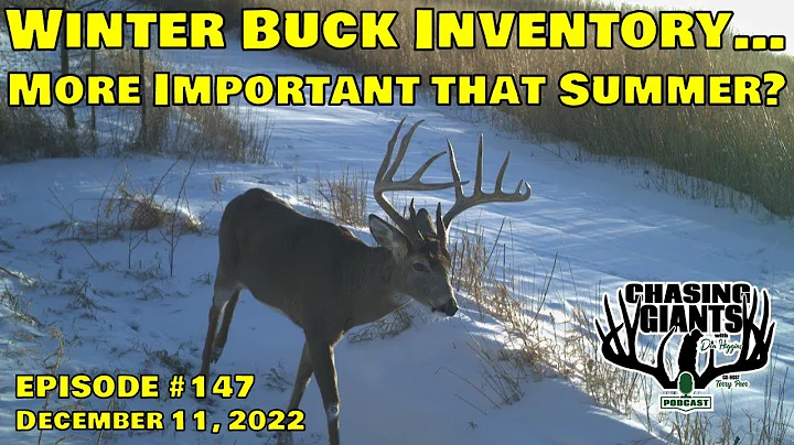 Episode #147 - Winter Buck Inventory... More Impor...