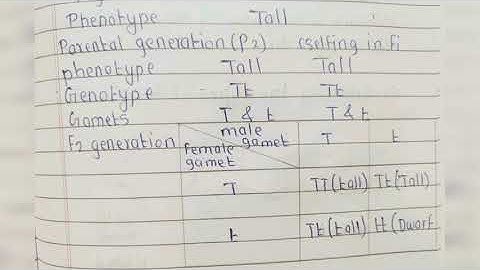 10th science 2 test-1 Setu abhyaskram (bridge course)