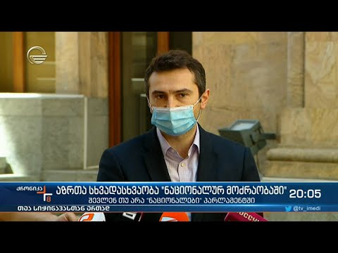 აზრთა სხვადასხვაობა „ნაციონალურ მოძრაობაში“