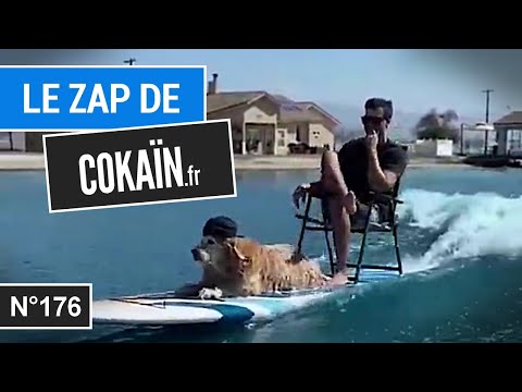 Le Zap de Cokaïn.fr n°176