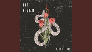 Video thumbnail of "Warm Delight - Nat Bonham"