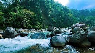 Evening River Glow | Calming Sounds of Nature at Sunset