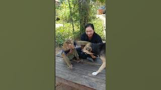 Best Video Of SokYaa,OG, To To And Mom Are Famous & Amazing #shorts