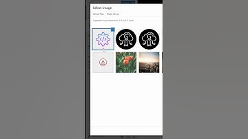 how to Add a WordPress Site Icon (Favicon) in WordPress