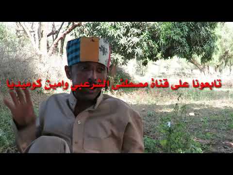 مصطفى الشرعبي مرة قتلت حمارهههه بالغلط