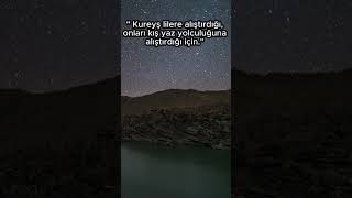 KUREYŞ SURESİ #shorts #shortsvideo #kuranıkerim #kuranmeali #kuran #meal #ayet #amin