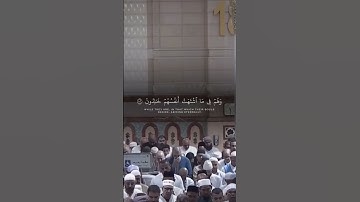ما أشجاها من تلاوة🤍🤍🤍 #اكسبلور #قرآن #تلاوة_خاشعة #عبدالله_القرافي
