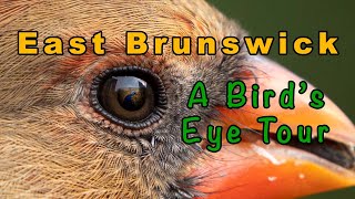 East Brunswick  - A Birds Eye Tour | 4K