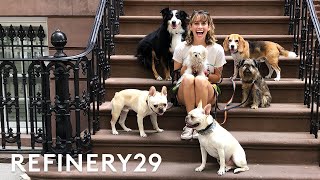 I Got Hired As A Dog Walker | Lucie For Hire | Refinery29