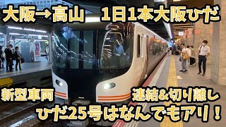 HC85系の大阪ひだ！特急ひだ25号乗車記　大阪→高山