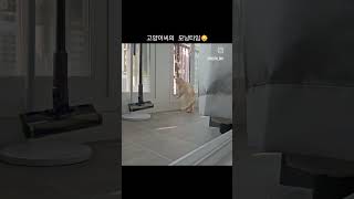 고양이씨의 모닝 명상타임 #고양이 #명상#김민석#멜로망스노래