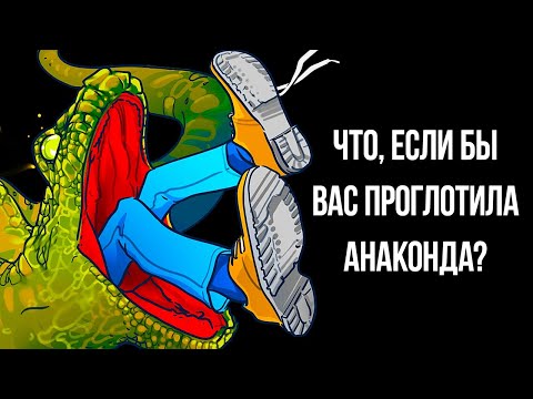 Каково это – оказаться в желудке у анаконды?