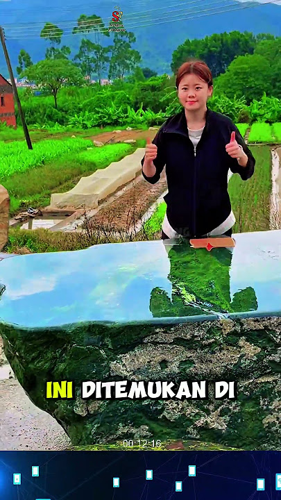 The difference between Indonesian and Chinese jade #jade #youshouldknow #jade #uniquefacts #inter...