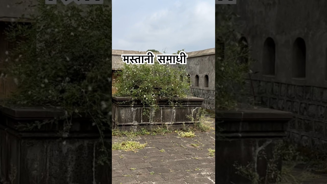 This Feel Good Story Was A LIE (plot Twist) - YouTube Auto PHP Script