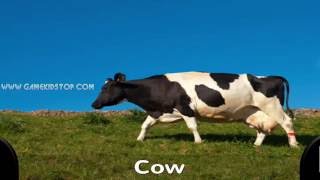 Learn English English Learning For Children Fun Way To Learn Spelling Of 100 English Words