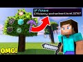 Minecraft, But Trees Drop OP Items...