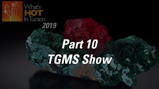 What's Hot In Tucson 2019  Part 10  TGMS