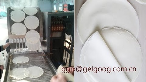 Automatic Spring Roll Sheeter Machine|Automatic Spring Roll & Samosa Pastry Sheet Machine
