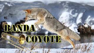 Quedate otro ratito - Banda Coyote
