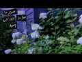 Gilah So Close But Still So Far Away Official Audio Gilah So Close But Still So Far Away Official Audio