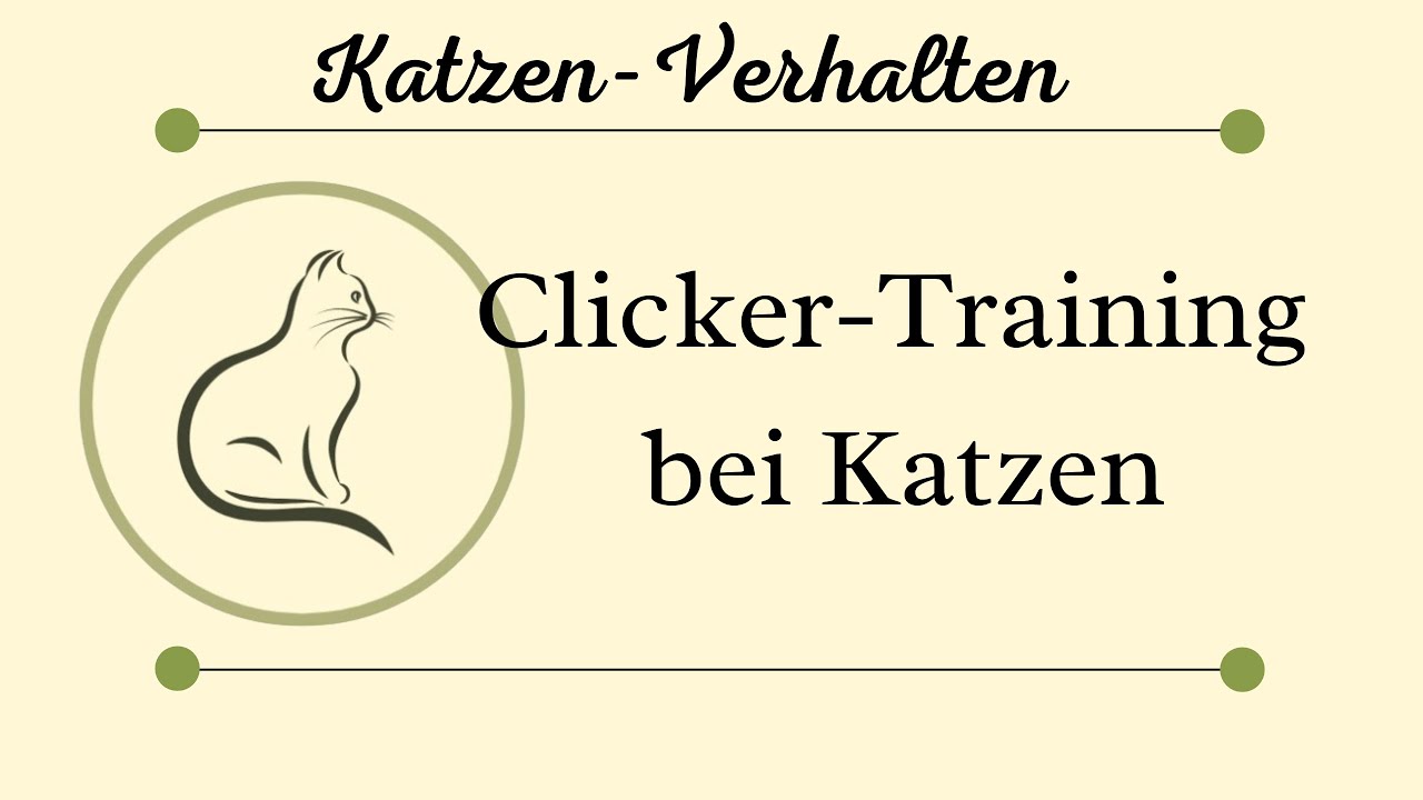 Clickertraining bei Katzen