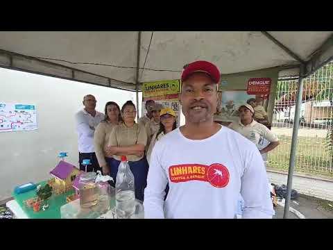 Combate a Dengue - Linhares