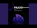 Pajuo original mix