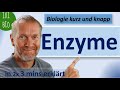 Enzyme - Alles Wichtige für das Abi in 2x3 Minuten einfach erklärt - Biologie kurz und knapp Mp3 Song