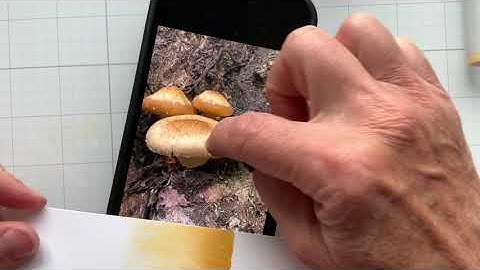 Finding Copic Color Combos #2