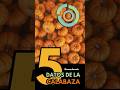 5 datos de la calabaza que NO sabías 🎃🔬