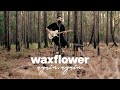 Waxflower - Again, Again (Live Session)